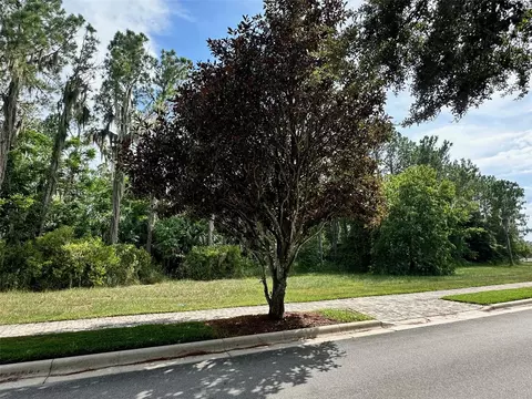 15520 Pendio Dr, Bella Collina, FL 34756