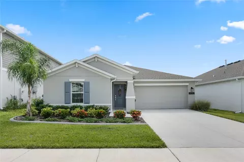 26062 Bristleleaf Ct, Leesburg, FL 34748