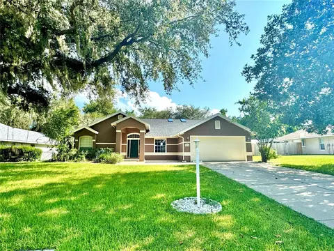 10136 Silver Bluff Dr, Leesburg, FL 34788