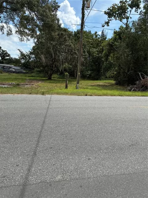 Thomas Avenue, Leesburg, FL 34748