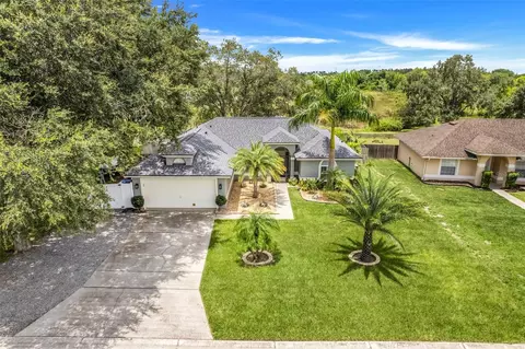 225 Hidden View Dr, Groveland, FL 34736