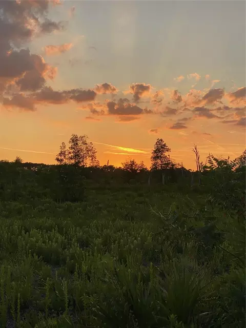 Wiygul Road, Umatilla, FL 32784