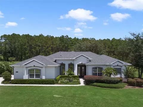 31306 Sunny Meadow Ct, Leesburg, FL 34748