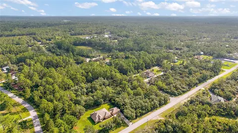 Persimmon, Eustis, FL 32736