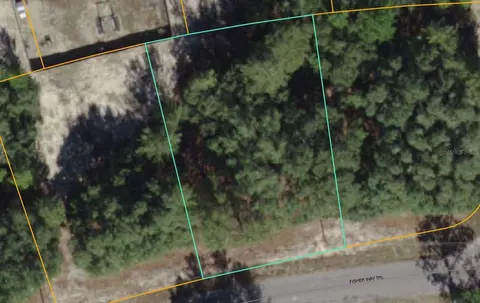 Fisher Way Trail, Ocklawaha, FL 32179