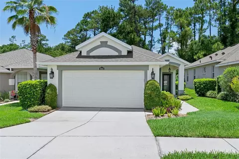 1024 Saint Ives Ct, Mount Dora, FL 32757