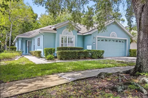 1711 Stafford Springs Blvd, Mount Dora, FL 32757