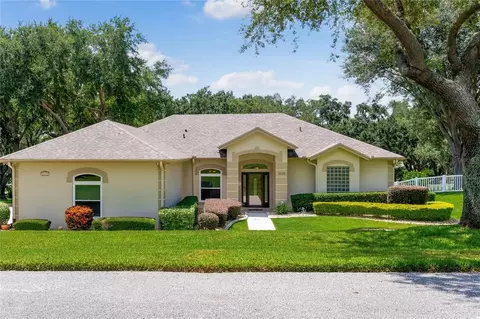 11132 Haskell Dr, Clermont, FL 34711