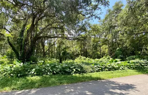 Cr 401c, Lake Panasoffkee, FL 33538
