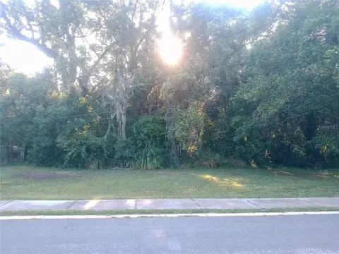 Gorham Street, Mount Dora, FL 32757