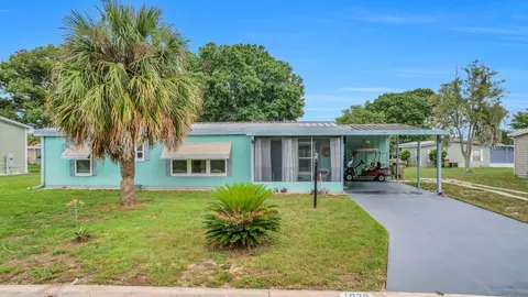 1020 Cayuga Dr, Grand Island, FL 32735