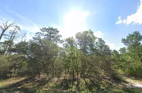00 Fisher Crse, Ocklawaha, FL 32179