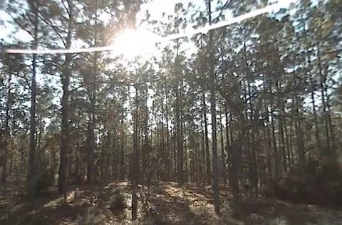 158 Th, Ocala, FL 34481