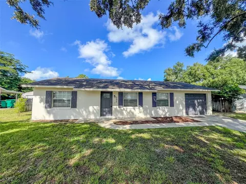 302 Lily Pad Ln, Eustis, FL 32726