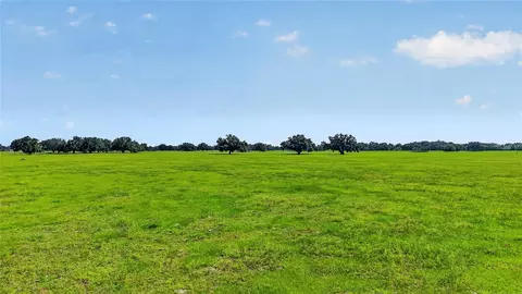 tbd E C 478, Webster, FL 33597 photo 11