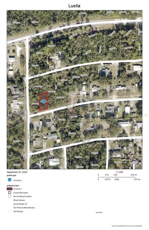 lot S 35 36 Luella Ave, Paisley, FL 32767