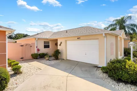 603 Nuevo Leon Ln, The Villages, FL 32159