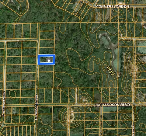 Packingham Drive, Webster, FL 33597