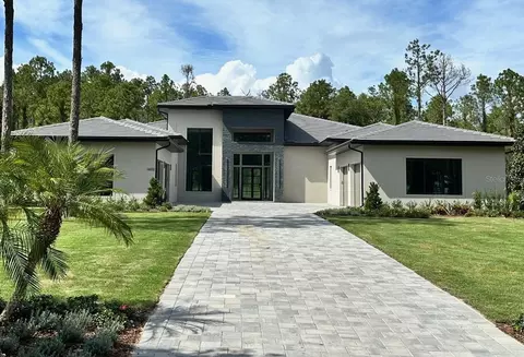 16102 Pendio Dr, Montverde, FL 34756