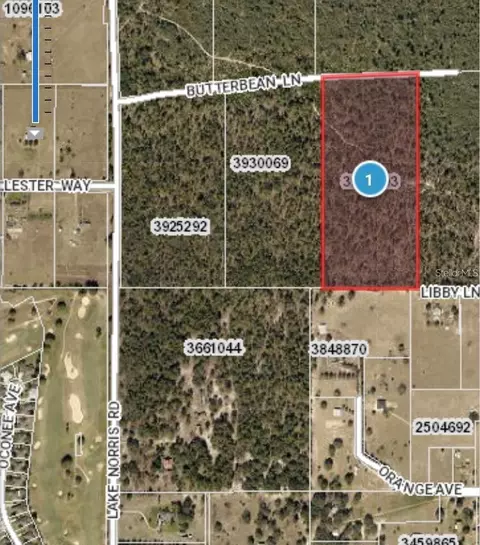 25233 Butterbean Ln, Eustis, FL 32736