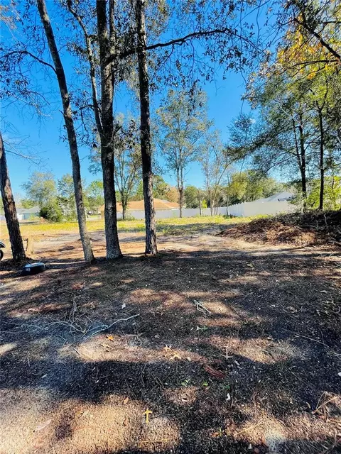 00 SE 161st Pl, Summerfield, FL 34491