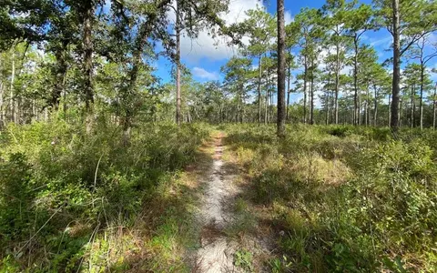 0 Dempsey Rd, Brooksville, FL 34601