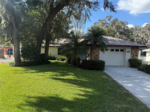2494 County Road 447, Lake Panasoffkee, FL 33538