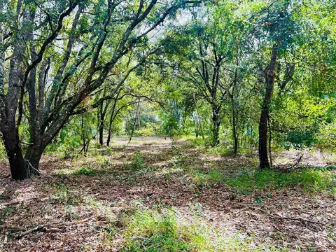 Pine Island Road, Clermont, FL 34711