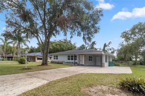 294 W Dicie Ave, Eustis, FL 32726