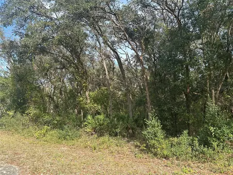 9114 Realstone Dr, Webster, FL 33597