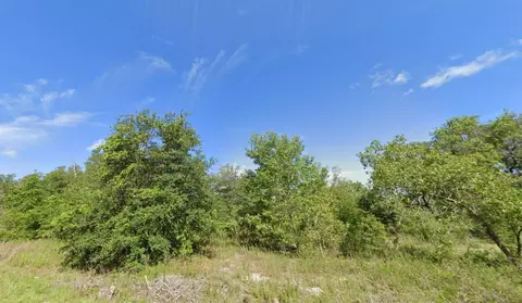 000 Guava Lane Crse #13, Ocklawaha, FL 32179