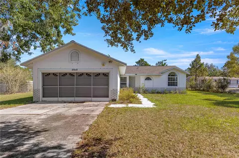 42142 Maggie Jones Rd, Paisley, FL 32767