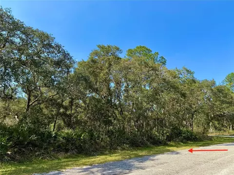 lot10 E Cashew Ct, Eustis, FL 32736