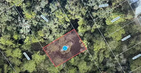 Stacey Drive, Mount Dora, FL 32757
