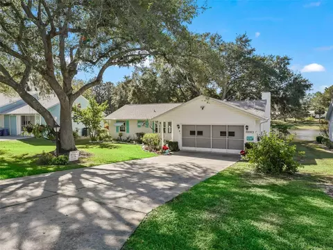 1310 Moray Ct, Leesburg, FL 34788
