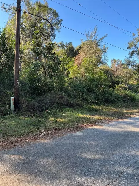 Cr 690, Webster, FL 33597