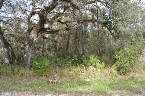 7180 Alloy St, Webster, FL 33597