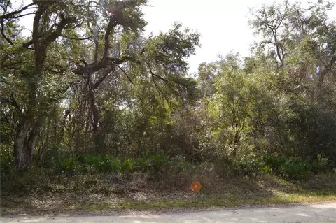 Rosehill Drive, Webster, FL 33597