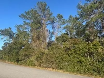 Sw 41st Terrace, Ocala, FL 34476