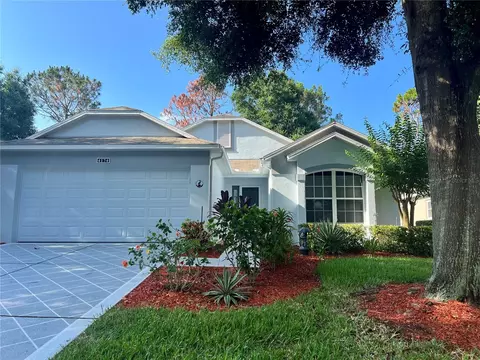 4174 Capland Ave, Clermont, FL 34711