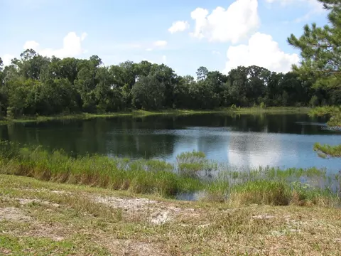 Malauka Loop, Ocklawaha, FL 32179