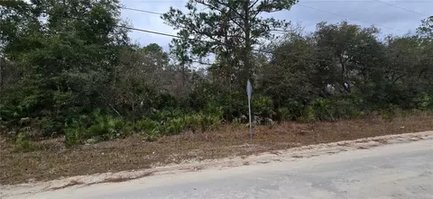 tbd NE 35th Ave Rd NE, Citra, FL 32113
