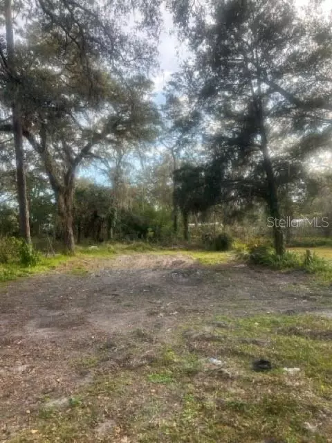 3255 Cr 675, Webster, FL 33597
