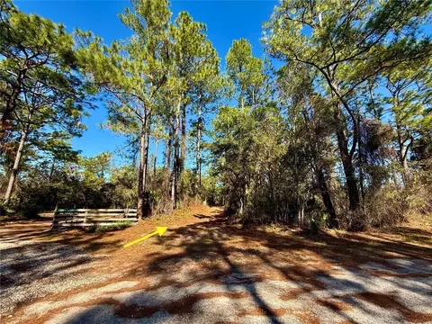 40001 Maggie Jones Rd, Paisley, FL 32767