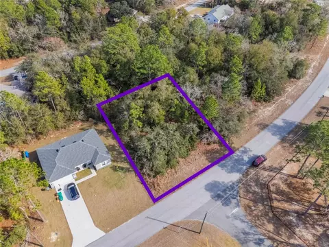 11035 N Harriet Way, Citrus Springs, FL 34434