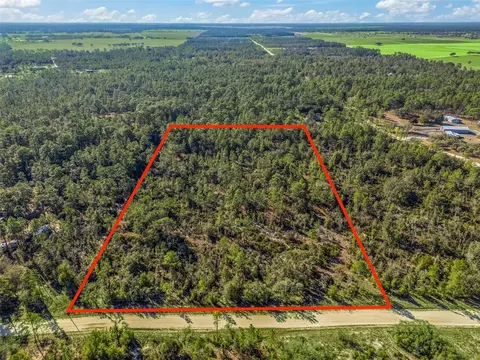tbd NE 47th St, Williston, FL 32696