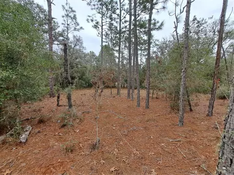 33124 Easter Dr, Webster, FL 33597
