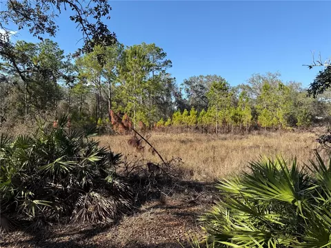 tbd Tworut Rd, Webster, FL 33597