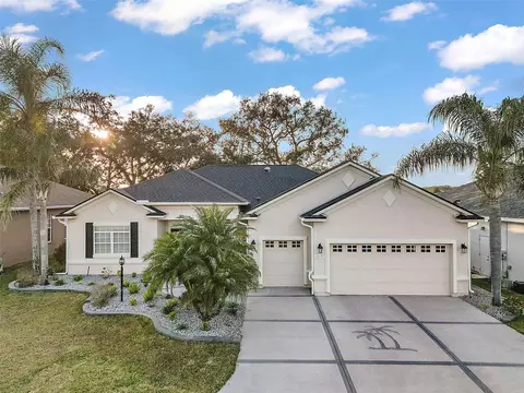 12127 SE 175th Loop, Summerfield, FL 34491 photo 1