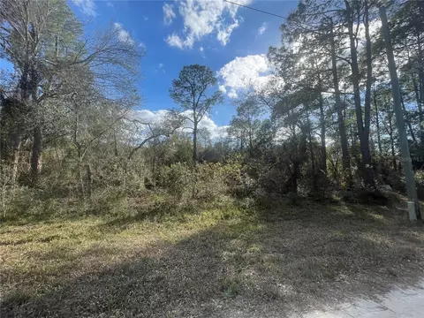 Butternut Drive, Webster, FL 33597